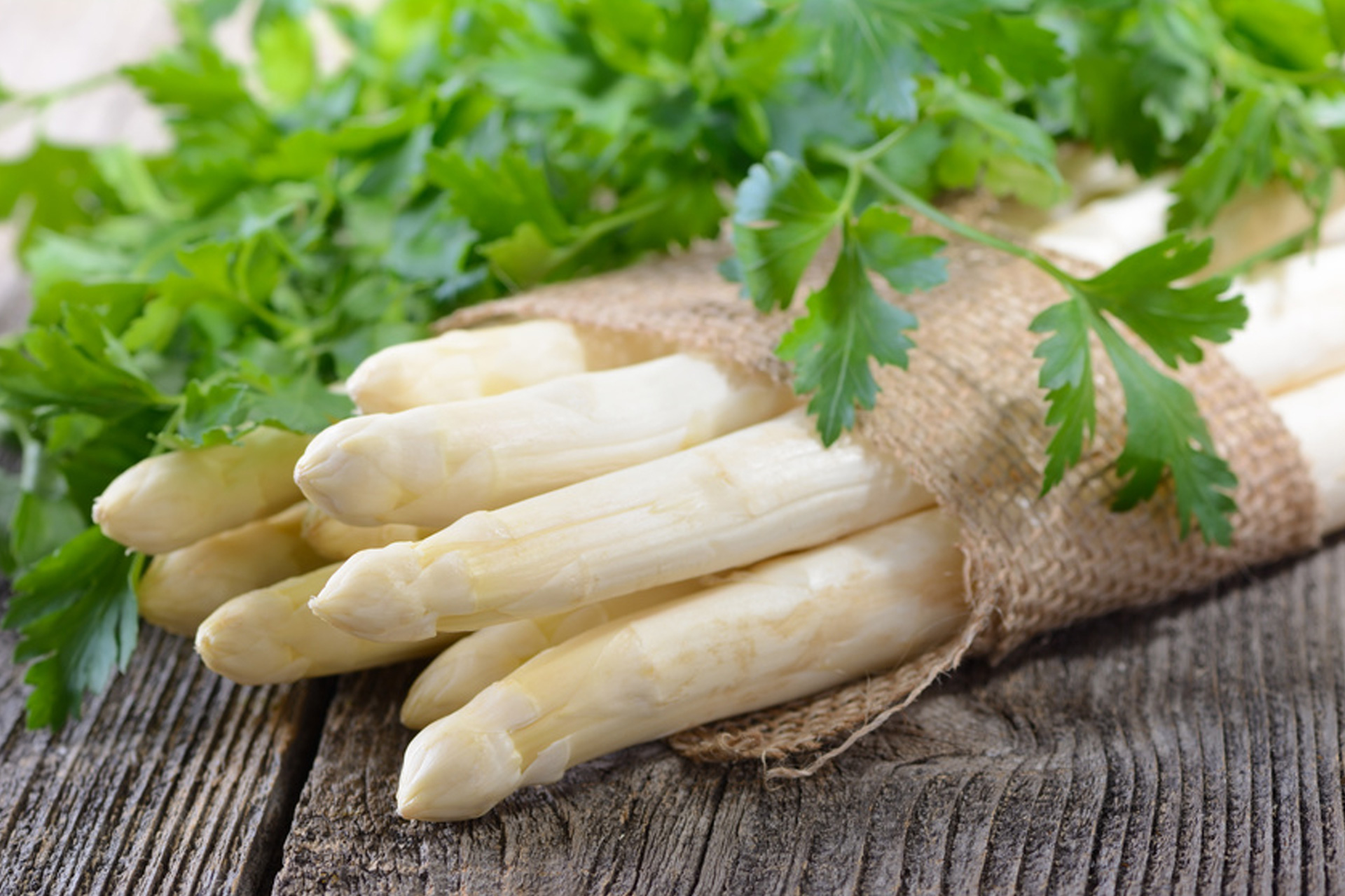 GENUSS_Spargel_Essen